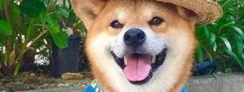 inforec-20221115-ff15ed2cecdbb9fab68e042df93c68bc