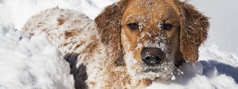 inforec-20221202-3eb4af0d4fe2ae84bcf8b5a1d18fa1e6